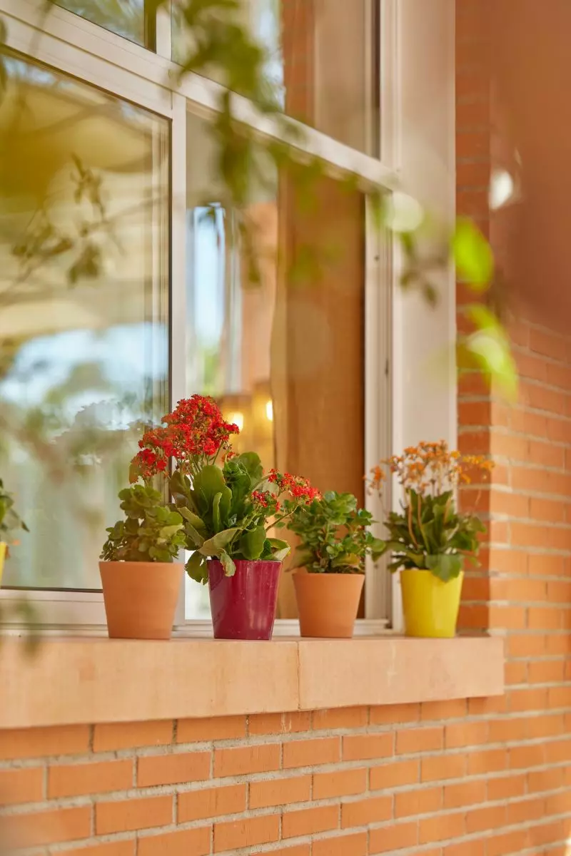 Apartment Of 55 M² In L’alfas Del Pi, Spain