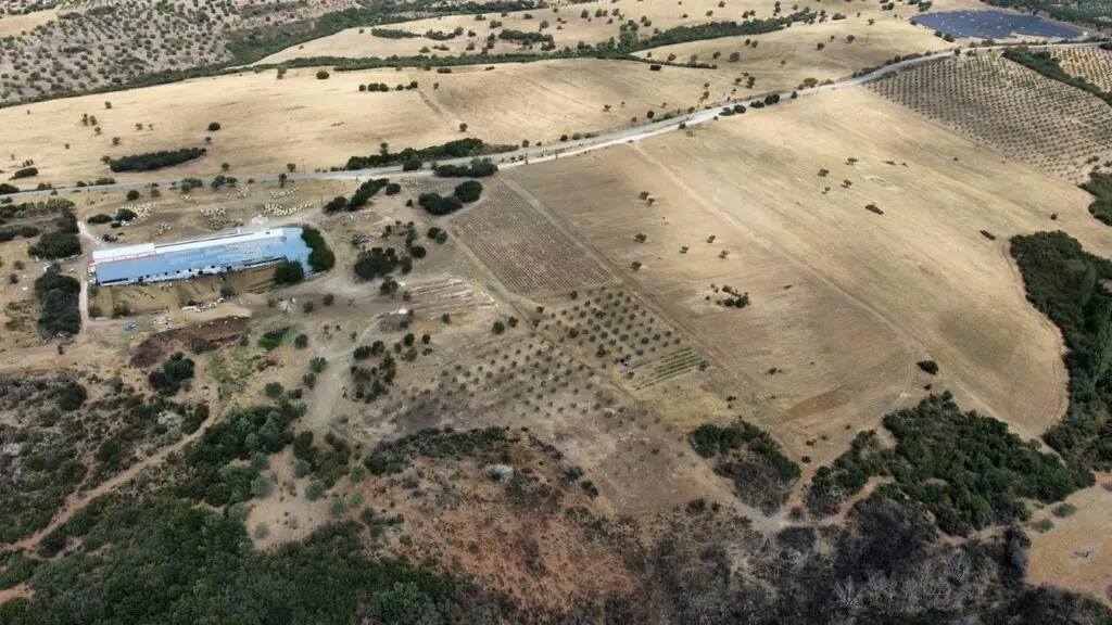 For Sale Land 11500 M² In Chalkidiki