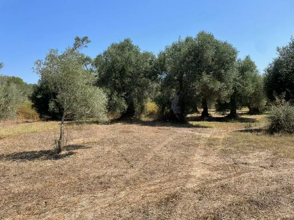 For Sale Land 4030 M² In Corfu