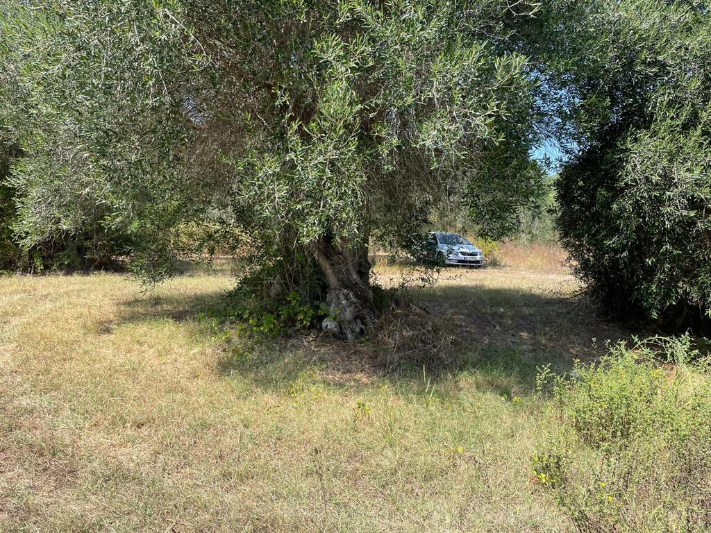 For Sale Land 4030 M² In Corfu