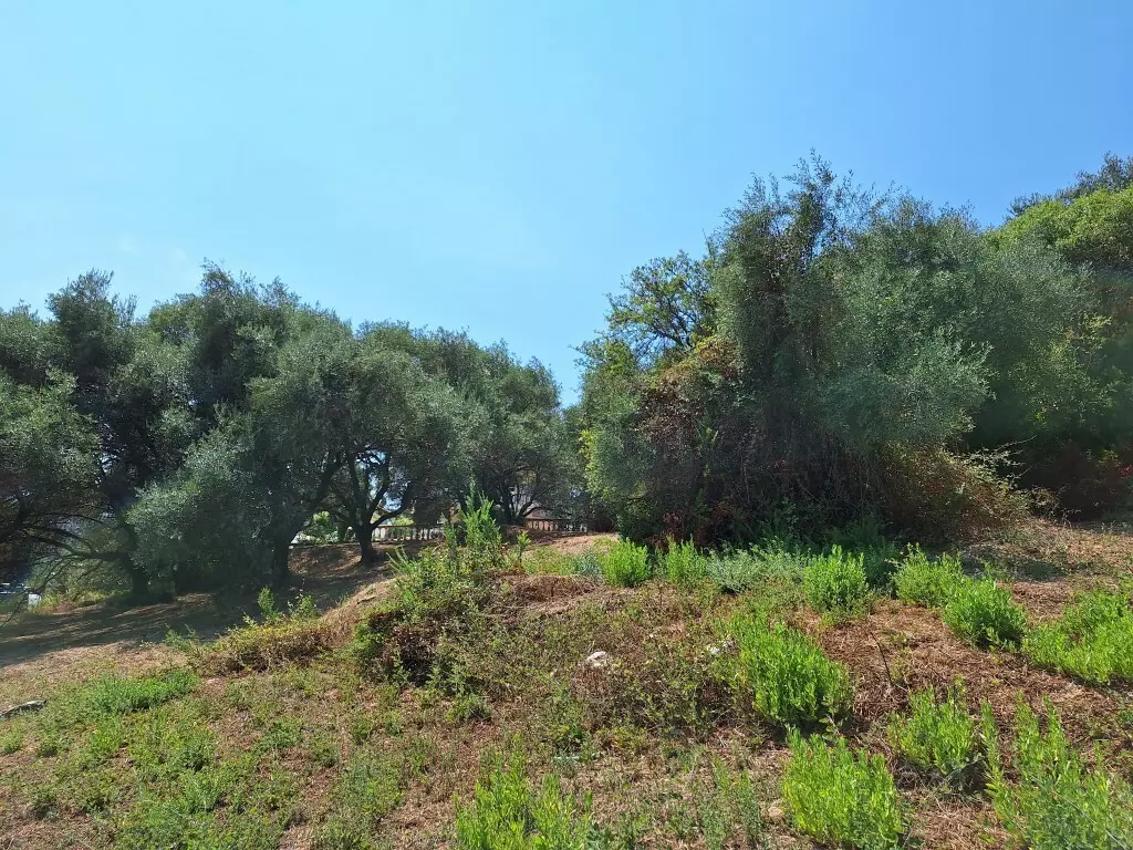 For Sale Land 12000 M² In Corfu