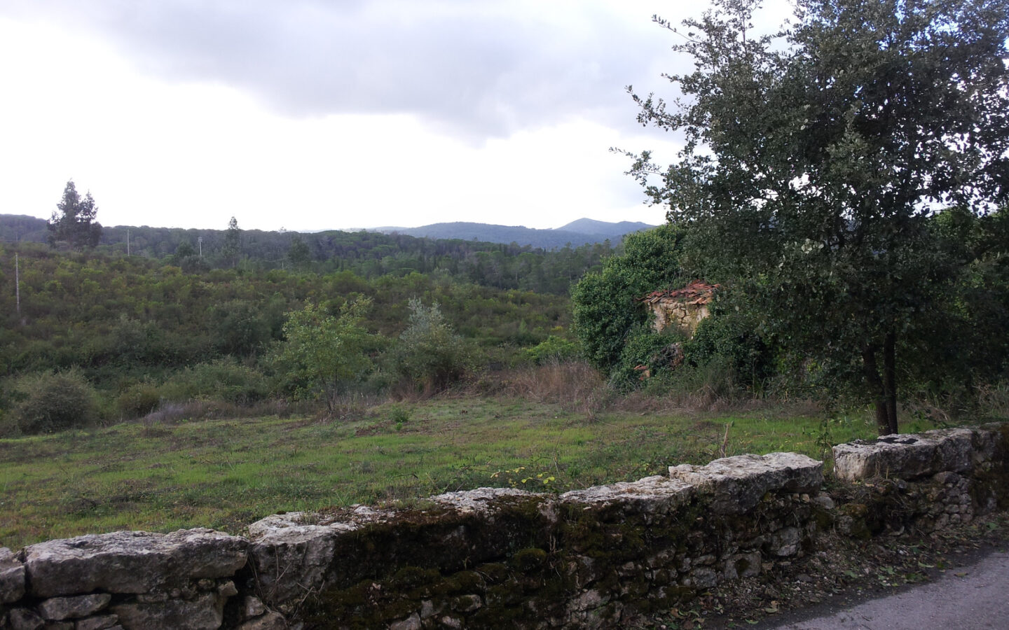 House Of 5.2 Ha With Building Potential Near Coimbra, Portugal