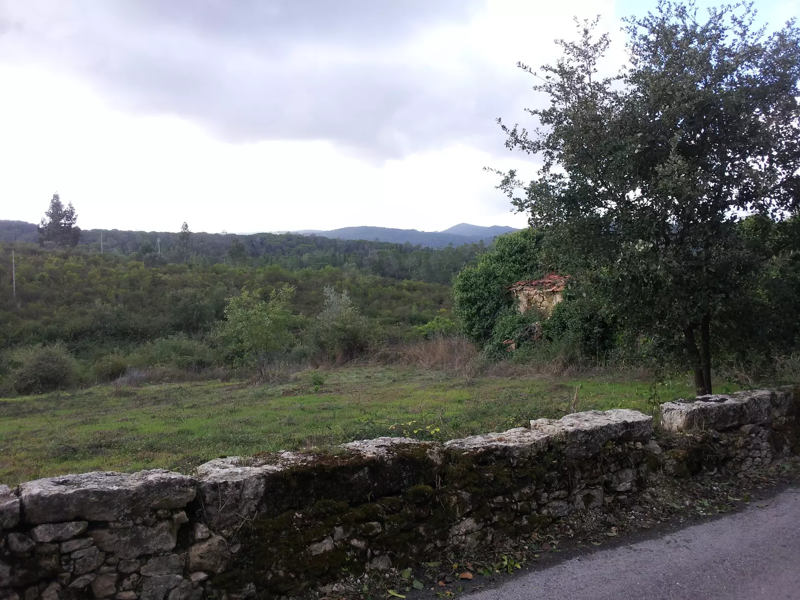 20131004_112545 House Of 5.2 Ha With Building Potential Near Coimbra, Portugal