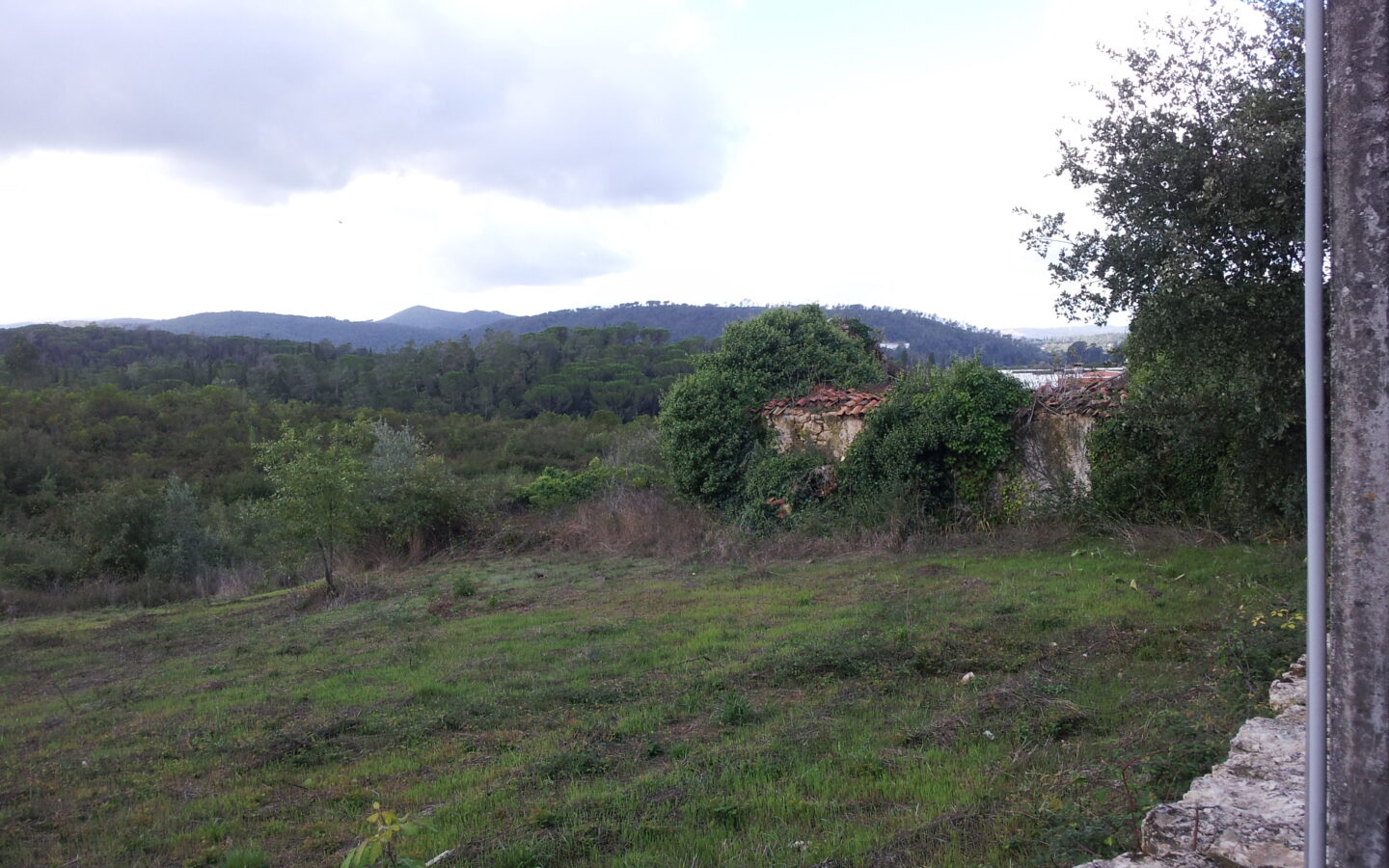 House Of 5.2 Ha With Building Potential Near Coimbra, Portugal