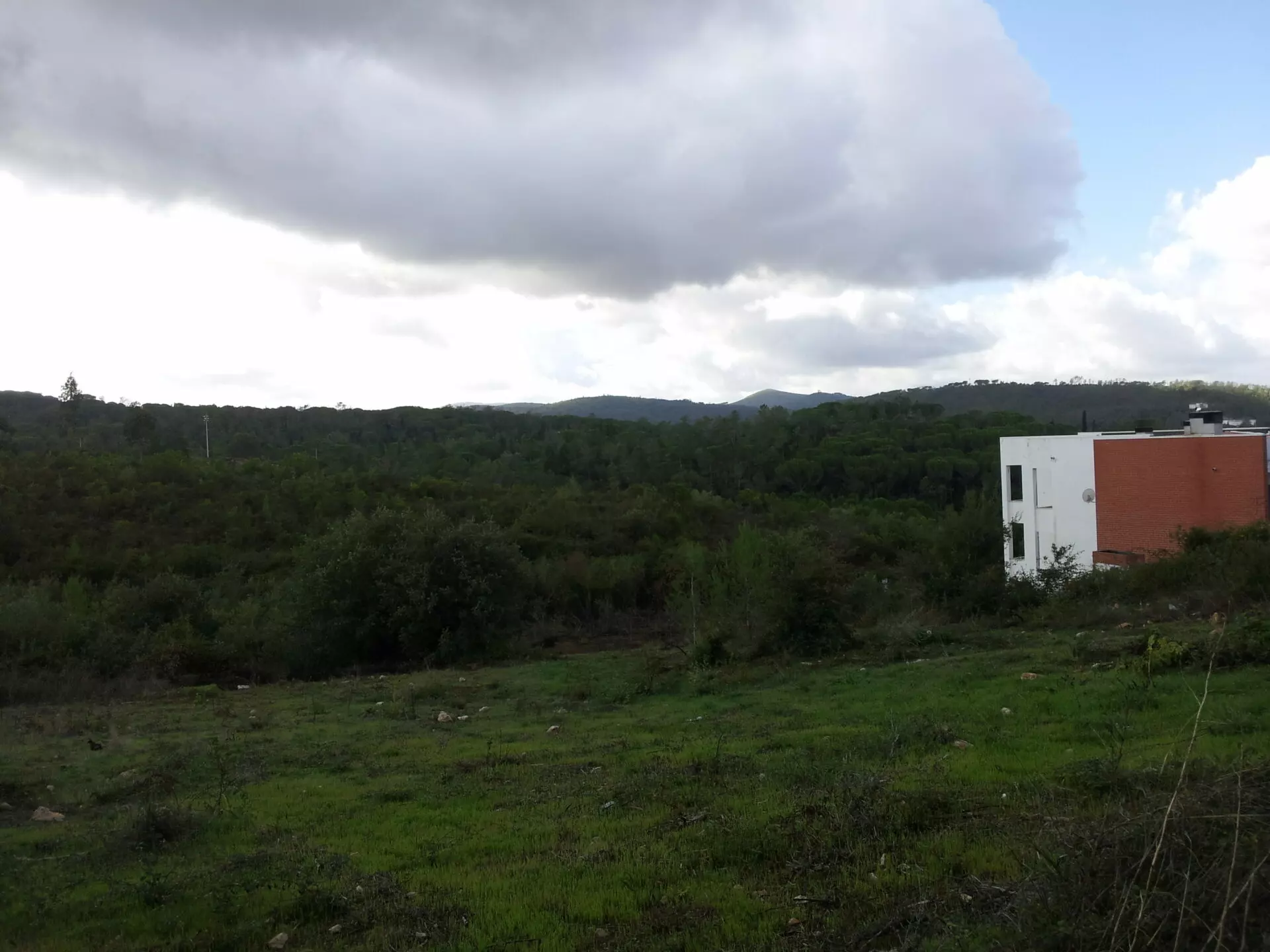 20131004_112731 House Of 5.2 Ha With Building Potential Near Coimbra, Portugal