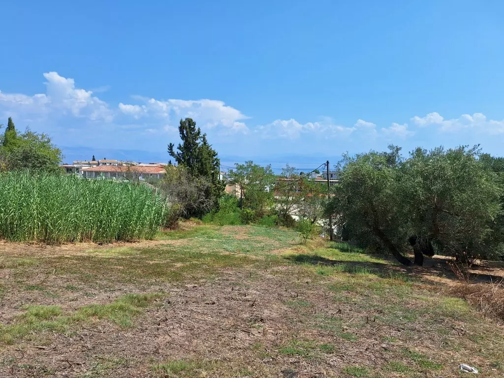 For Sale Land 12000 M² In Corfu