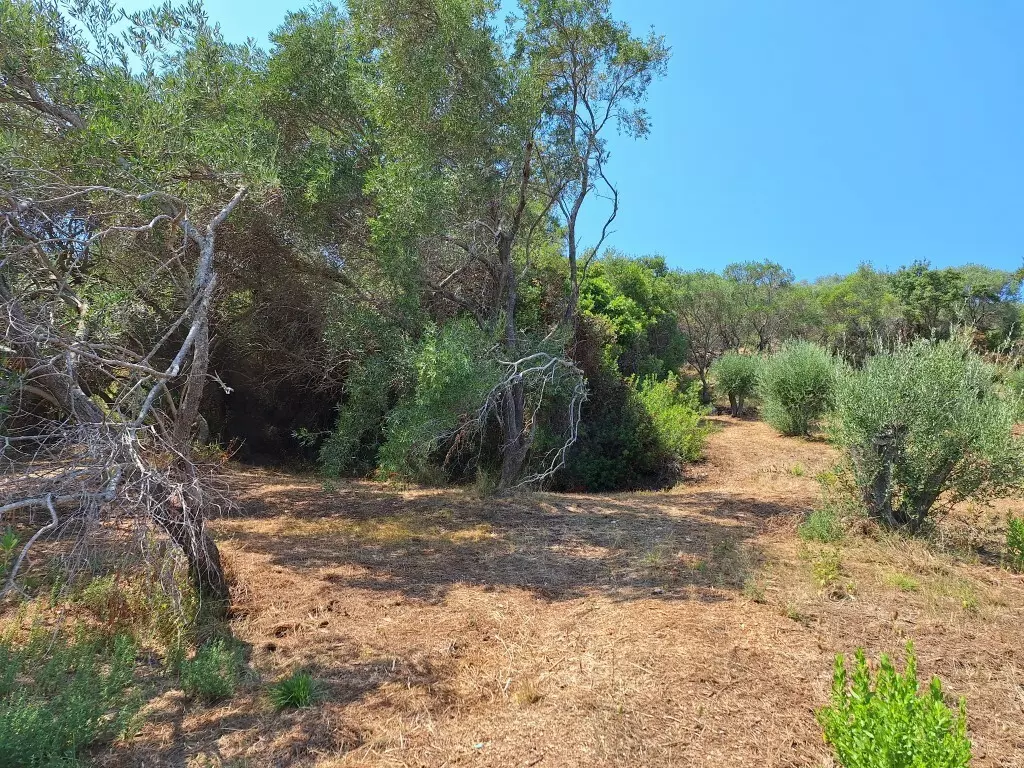 For Sale Land 12000 M² In Corfu