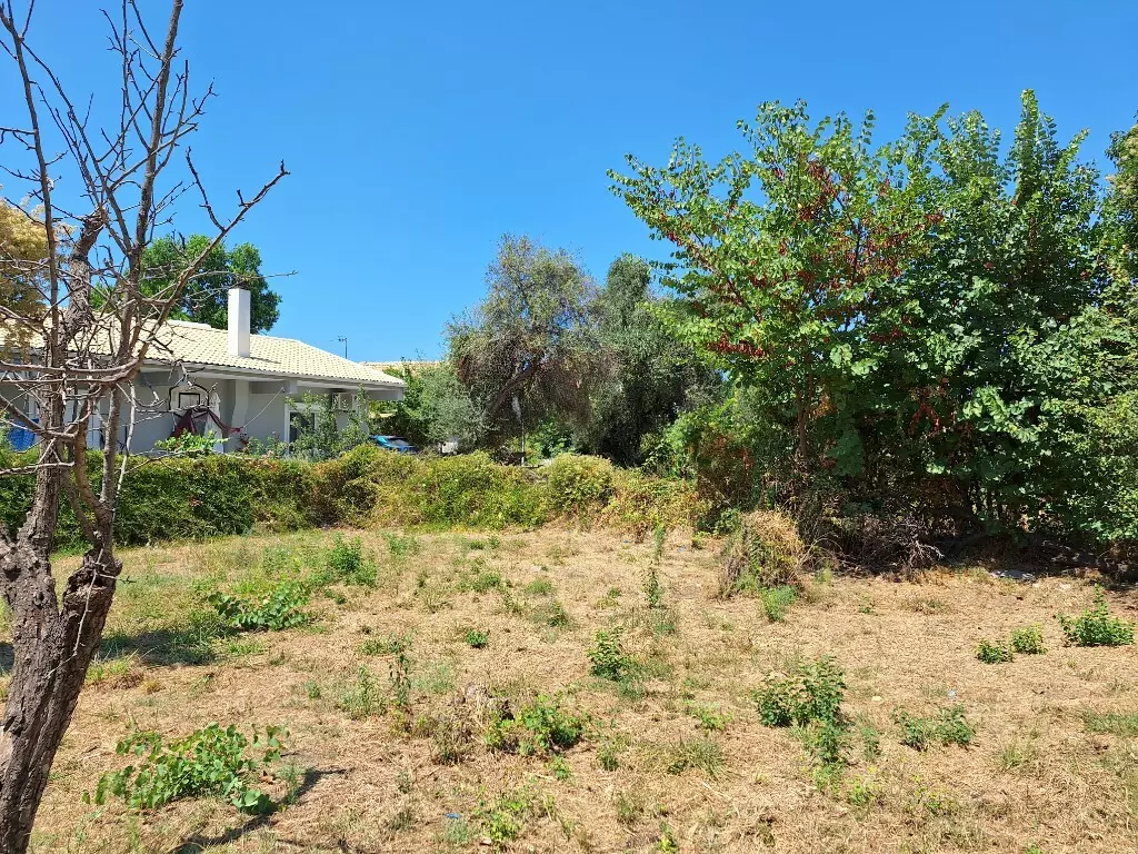 For Sale Land 4600 M² In Corfu
