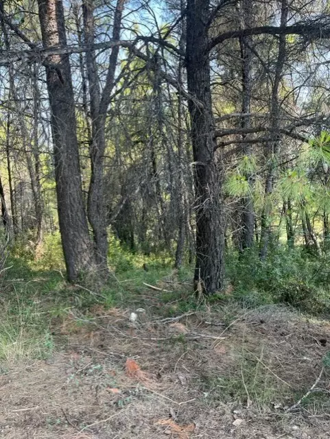 For Sale Land 13886 M² In Kassandra, Chalkidiki