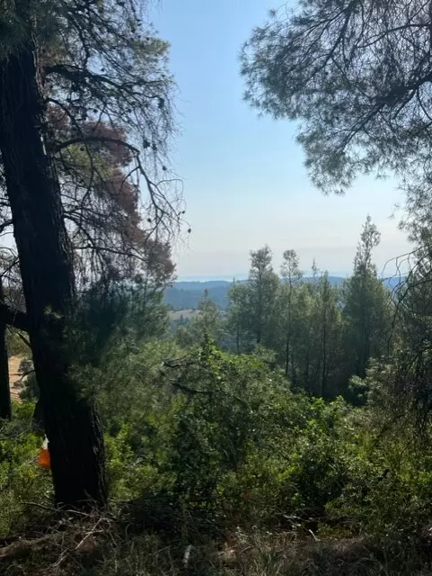 For Sale Land 13886 M² In Kassandra, Chalkidiki