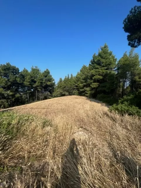 For Sale Land 13886 M² In Kassandra, Chalkidiki