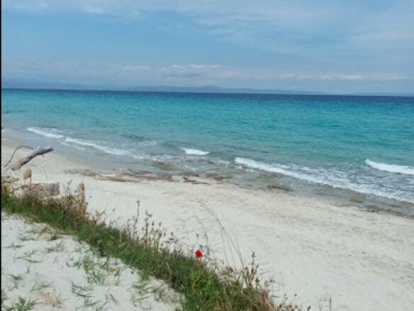 For Sale Land 1600 M² In Kassandra, Chalkidiki