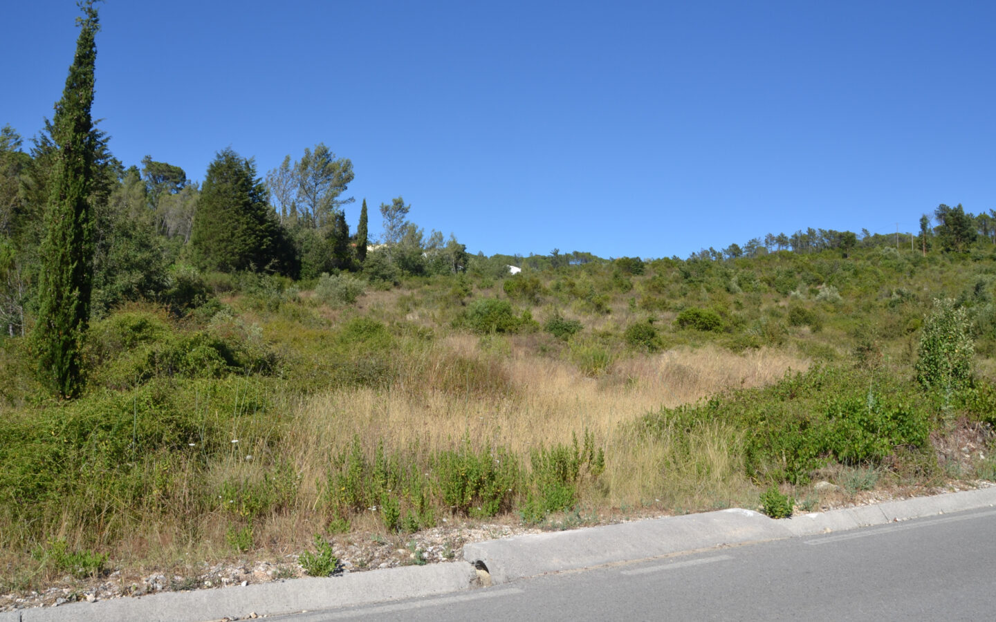 House Of 5.2 Ha With Building Potential Near Coimbra, Portugal