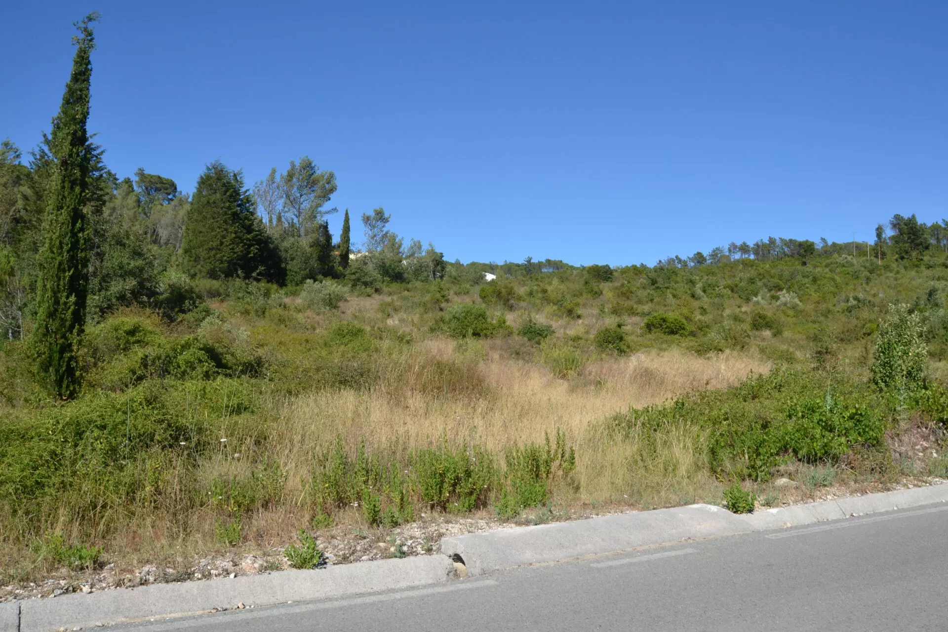 DSC_0169 House Of 5.2 Ha With Building Potential Near Coimbra, Portugal
