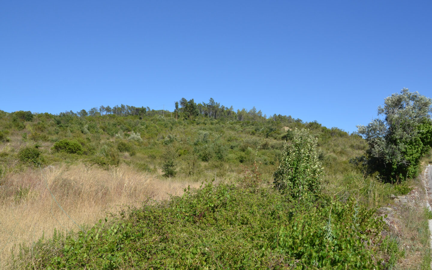 House Of 5.2 Ha With Building Potential Near Coimbra, Portugal
