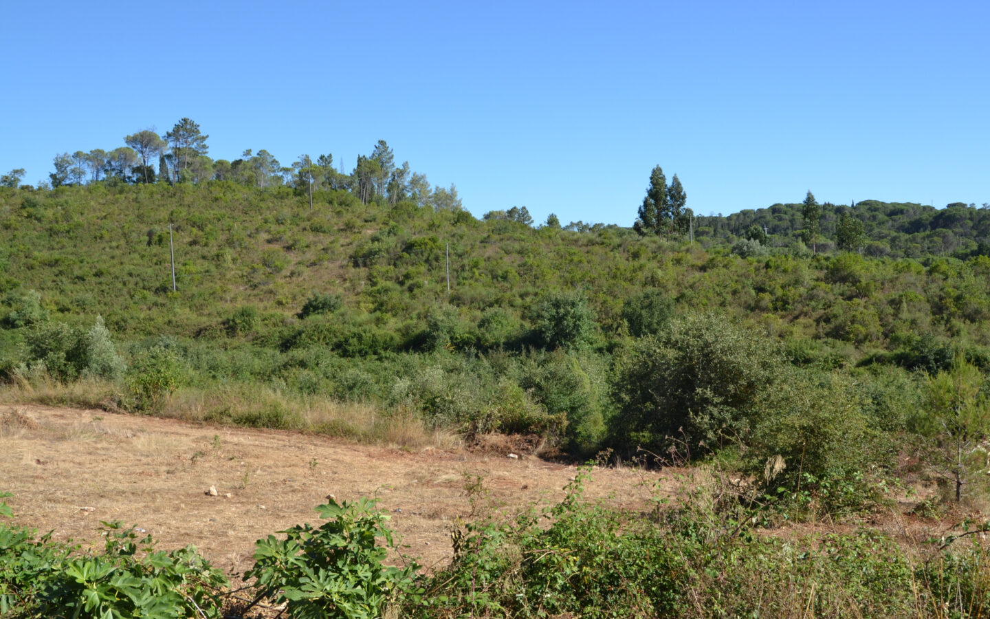 House Of 5.2 Ha With Building Potential Near Coimbra, Portugal