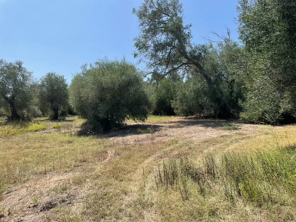 For Sale Land 4030 M² In Corfu
