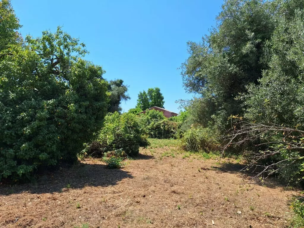 For Sale Land 4600 M² In Corfu