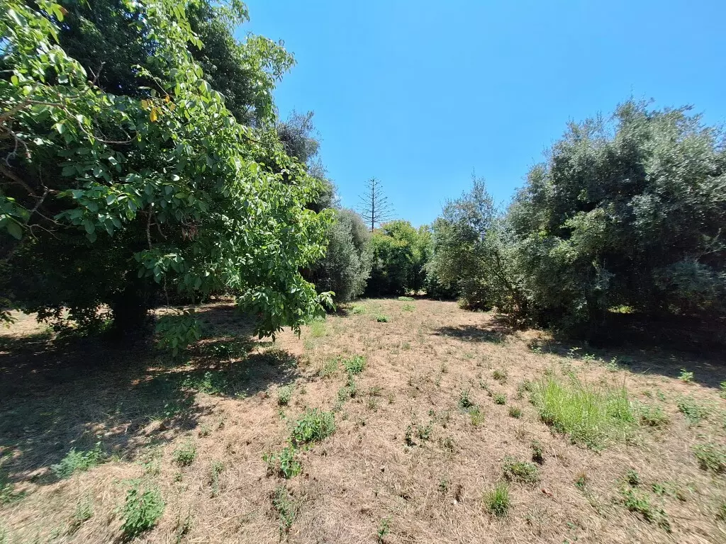 For Sale Land 4600 M² In Corfu