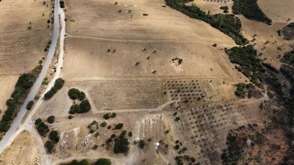 For Sale Land 11500 M² In Chalkidiki