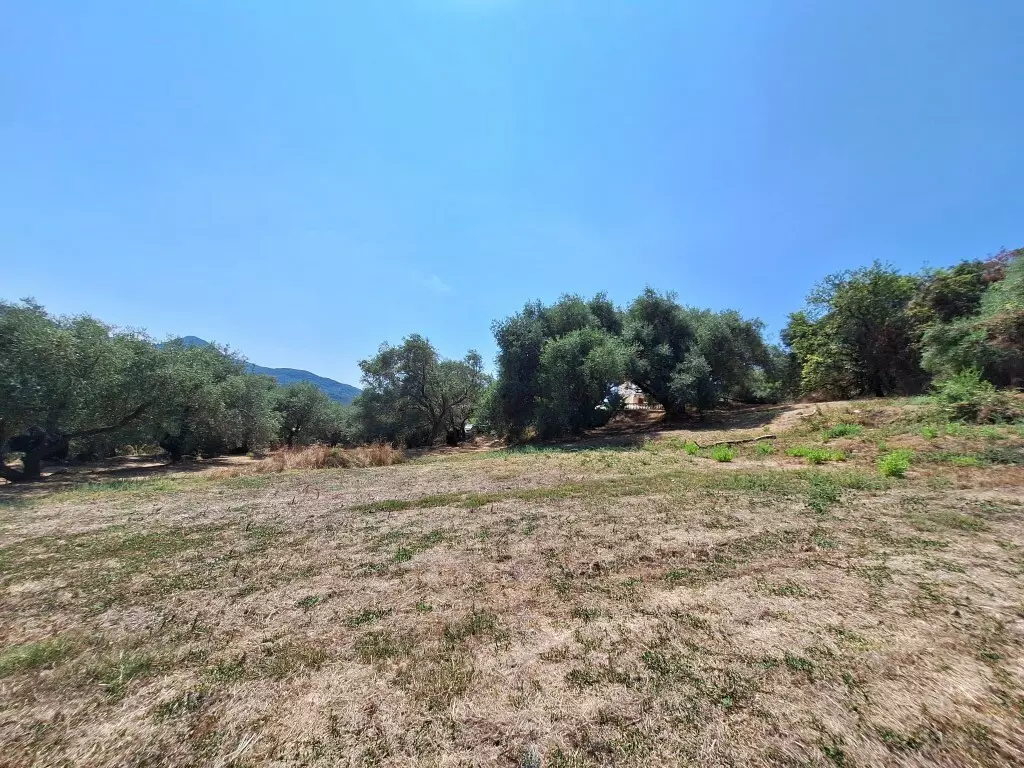 For Sale Land 12000 M² In Corfu