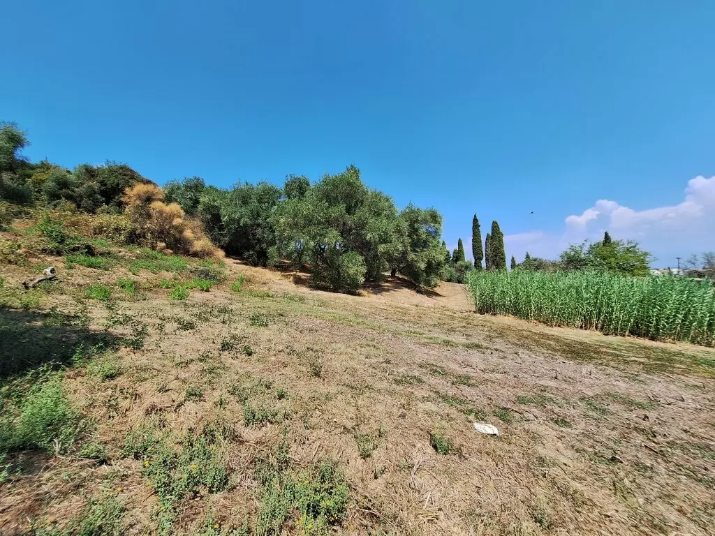For Sale Land 12000 M² In Corfu