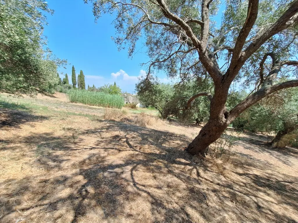 For Sale Land 12000 M² In Corfu