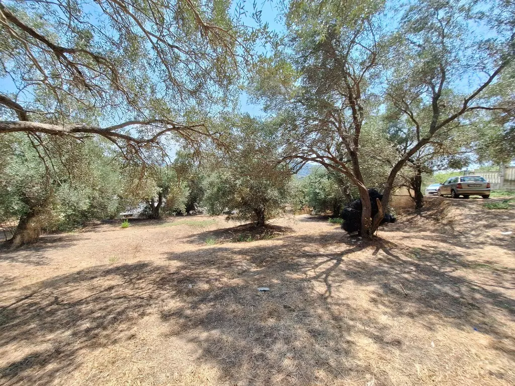 For Sale Land 12000 M² In Corfu