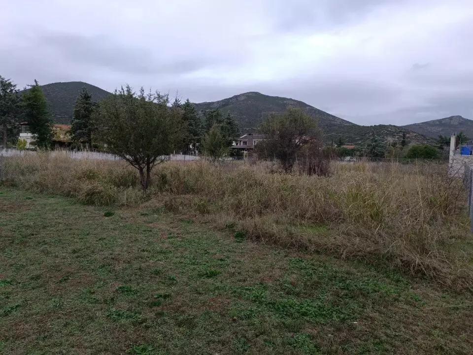 For Sale Land 630 M² In Chalkidiki