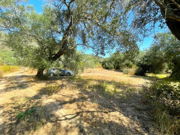 For Sale Land 4030 M² In Corfu