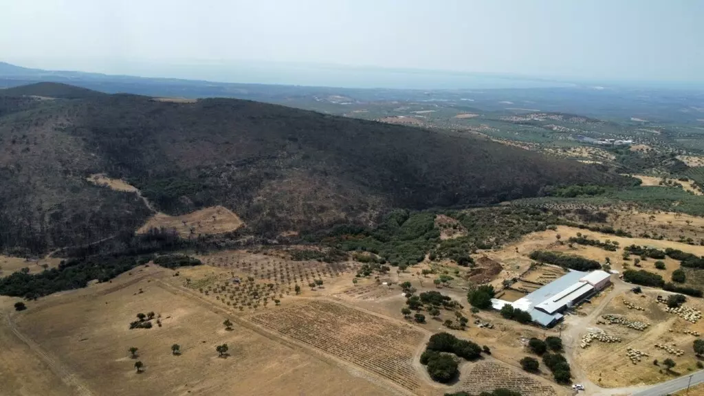For Sale Land 11500 M² In Chalkidiki