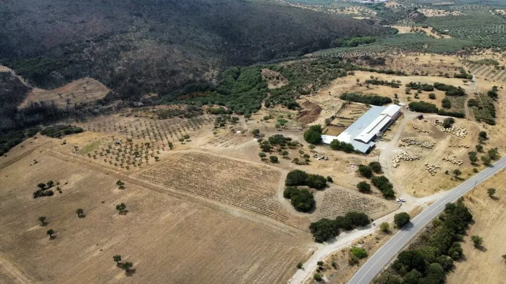 For Sale Land 11500 M² In Chalkidiki