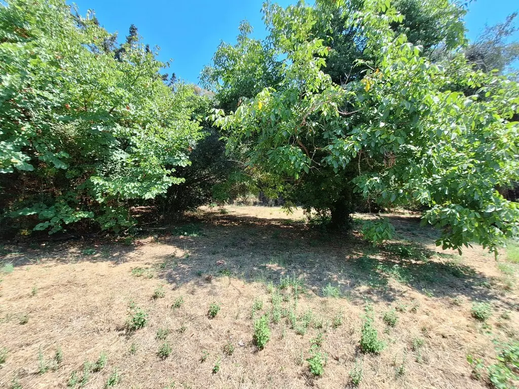 For Sale Land 4600 M² In Corfu