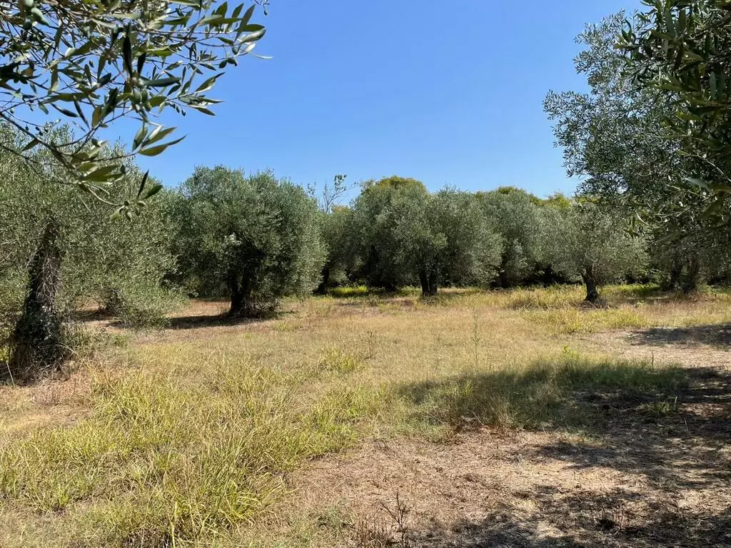 For Sale Land 4030 M² In Corfu