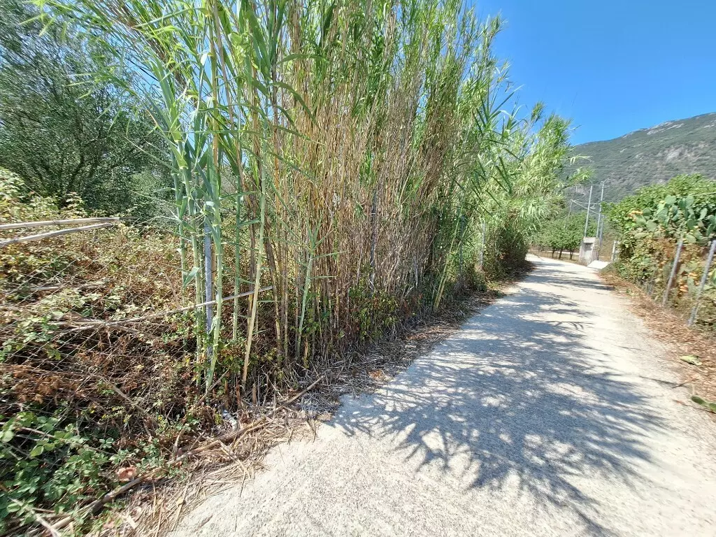 For Sale Land 4683 M² In Corfu