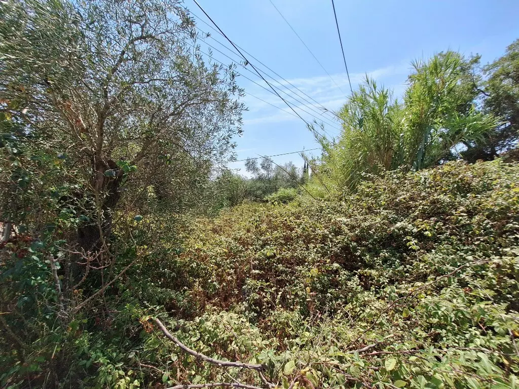For Sale Land 4683 M² In Corfu