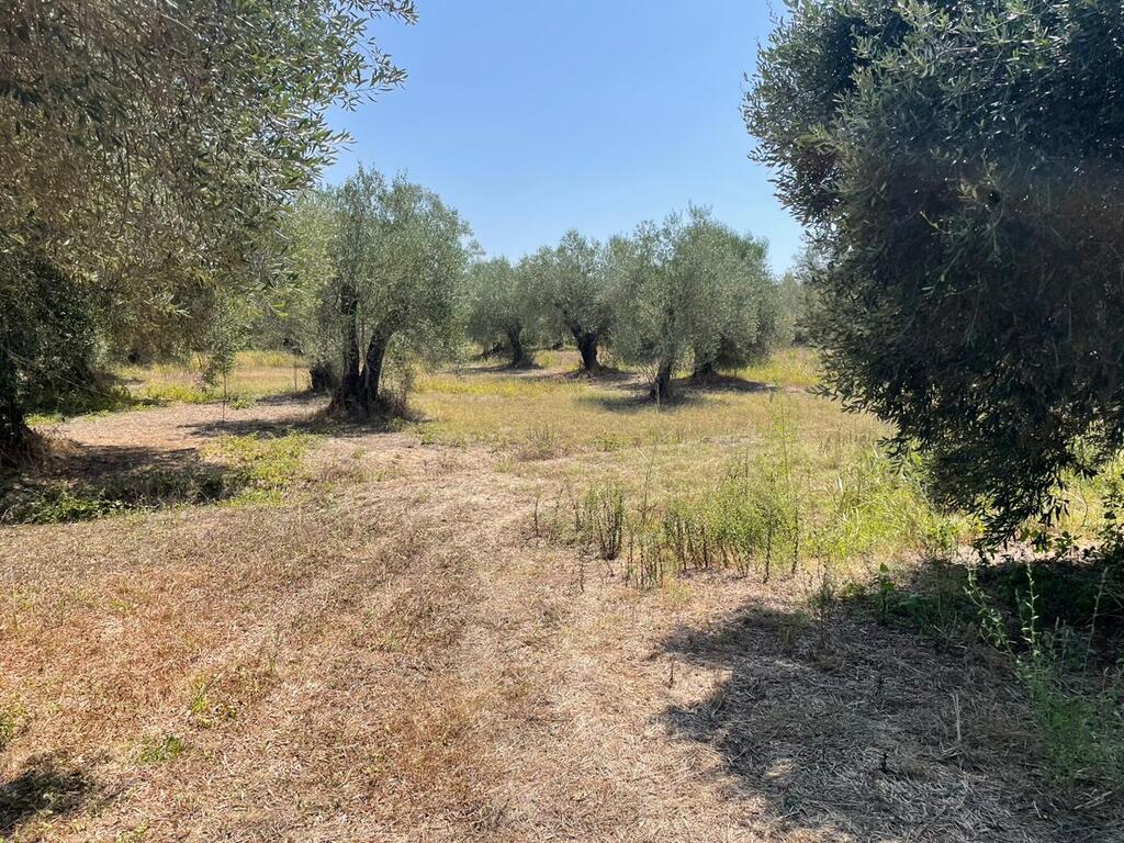 For Sale Land 4030 M² In Corfu