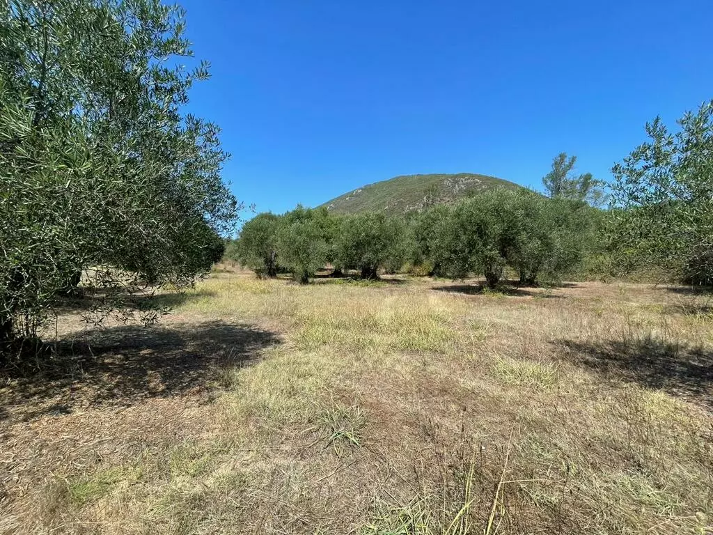 For Sale Land 4030 M² In Corfu