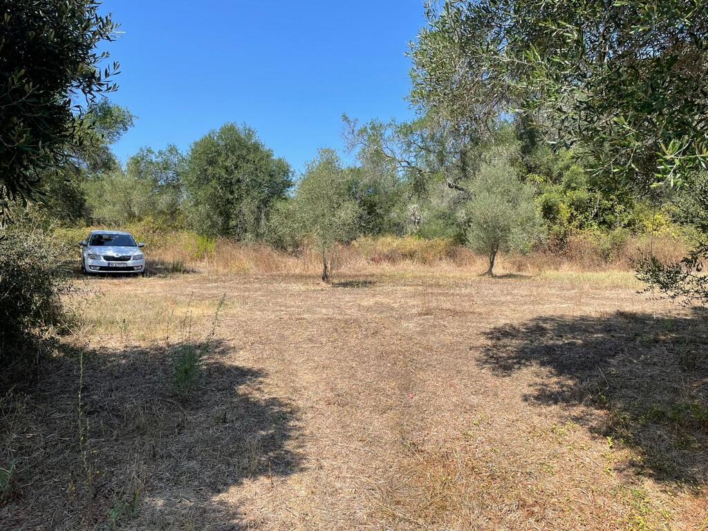 For Sale Land 4030 M² In Corfu