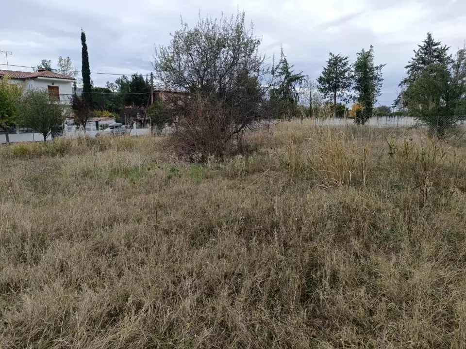 For Sale Land 630 M² In Chalkidiki