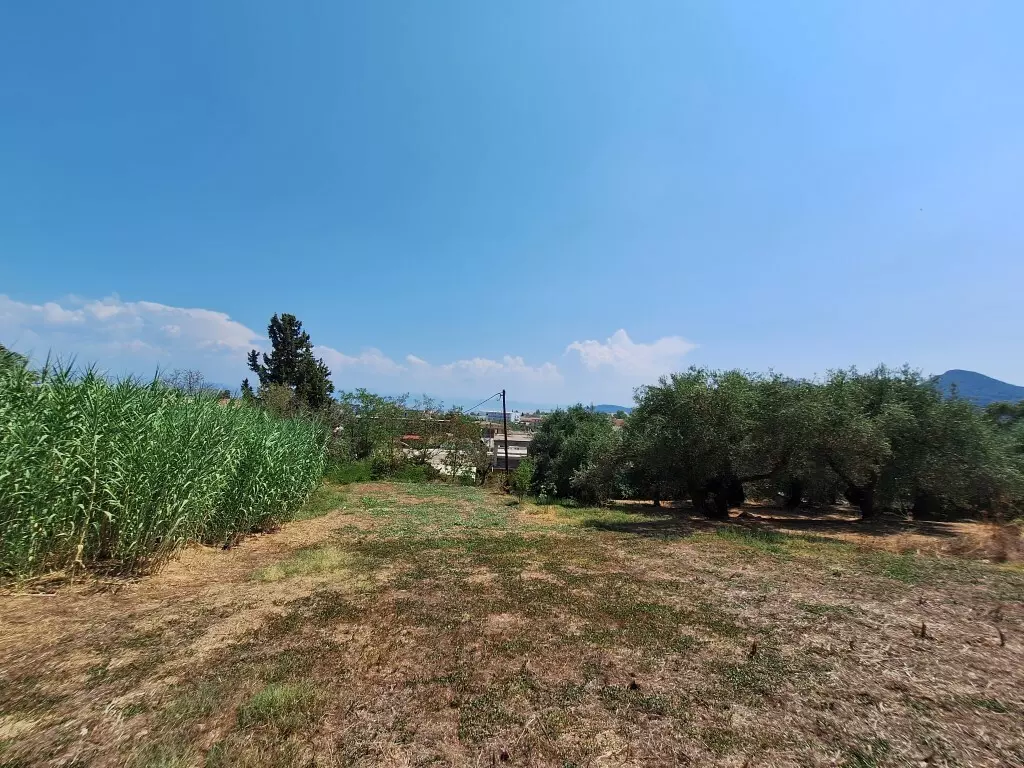 For Sale Land 12000 M² In Corfu