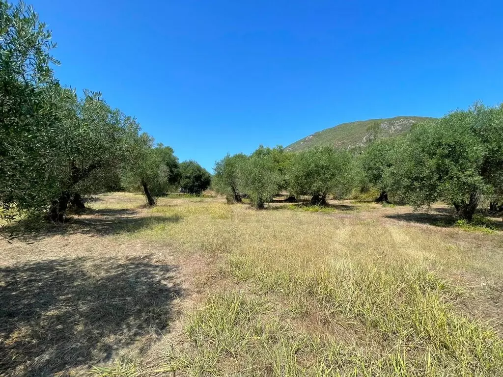 For Sale Land 4030 M² In Corfu