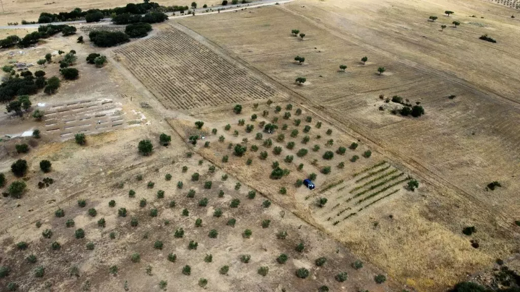 For Sale Land 11500 M² In Chalkidiki