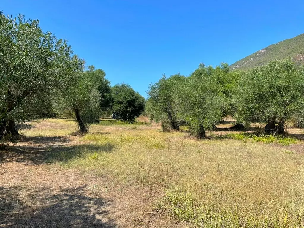 For Sale Land 4030 M² In Corfu