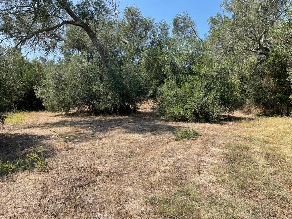 For Sale Land 4030 M² In Corfu