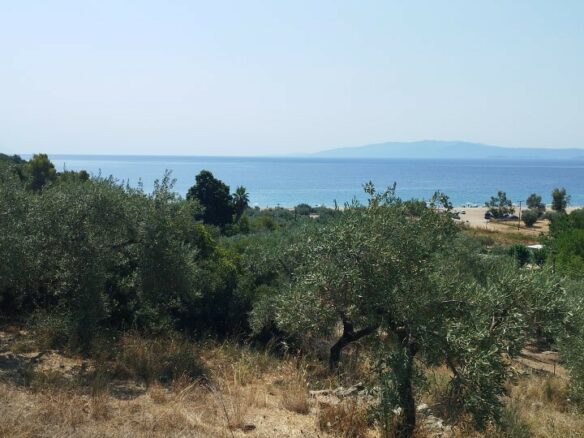 For Sale Land 4000 M² In Athos, Chalkidiki