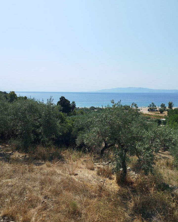For Sale Land 4000 M² In Athos, Chalkidiki