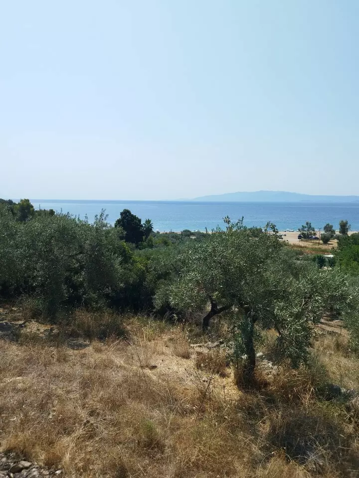 For Sale Land 4000 M² In Athos, Chalkidiki