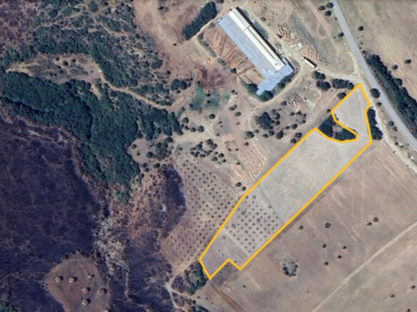 For Sale Land 11500 M² In Chalkidiki