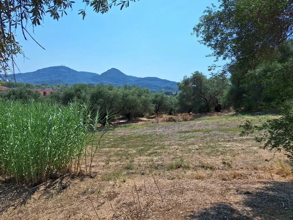 For Sale Land 12000 M² In Corfu